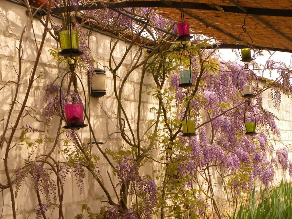 فندق شالو أو شُمْبانيِفي  Entre Cour Et Jardin المظهر الخارجي الصورة